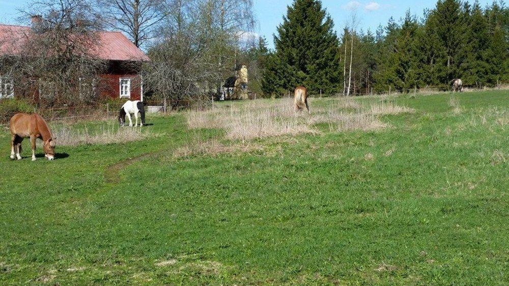 Tuhannen Tarinan Talo Kannuskoski Екстер'єр фото
